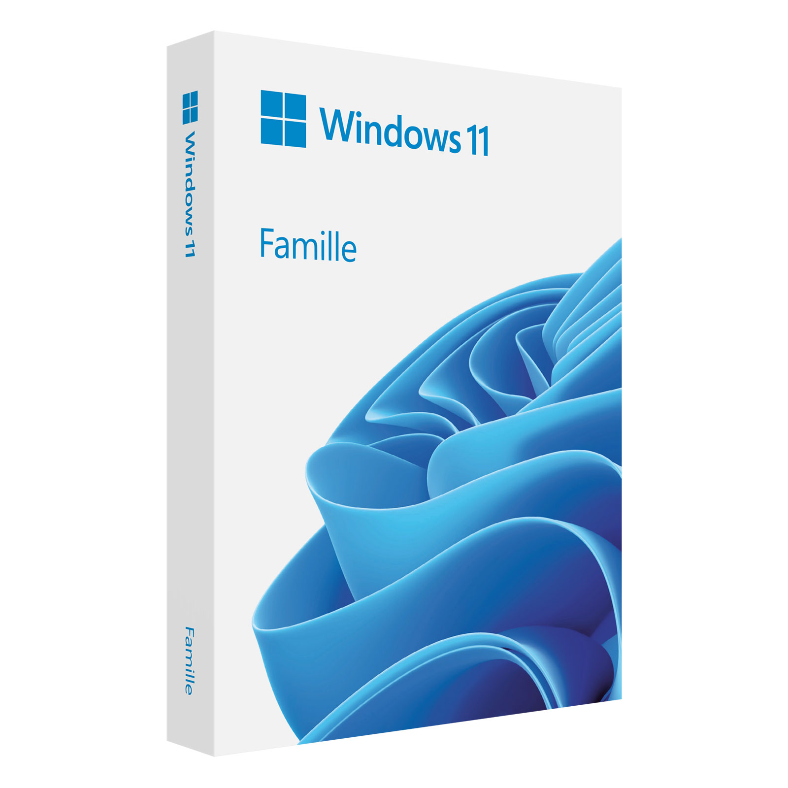 Windows 11 Famille — licence OEM